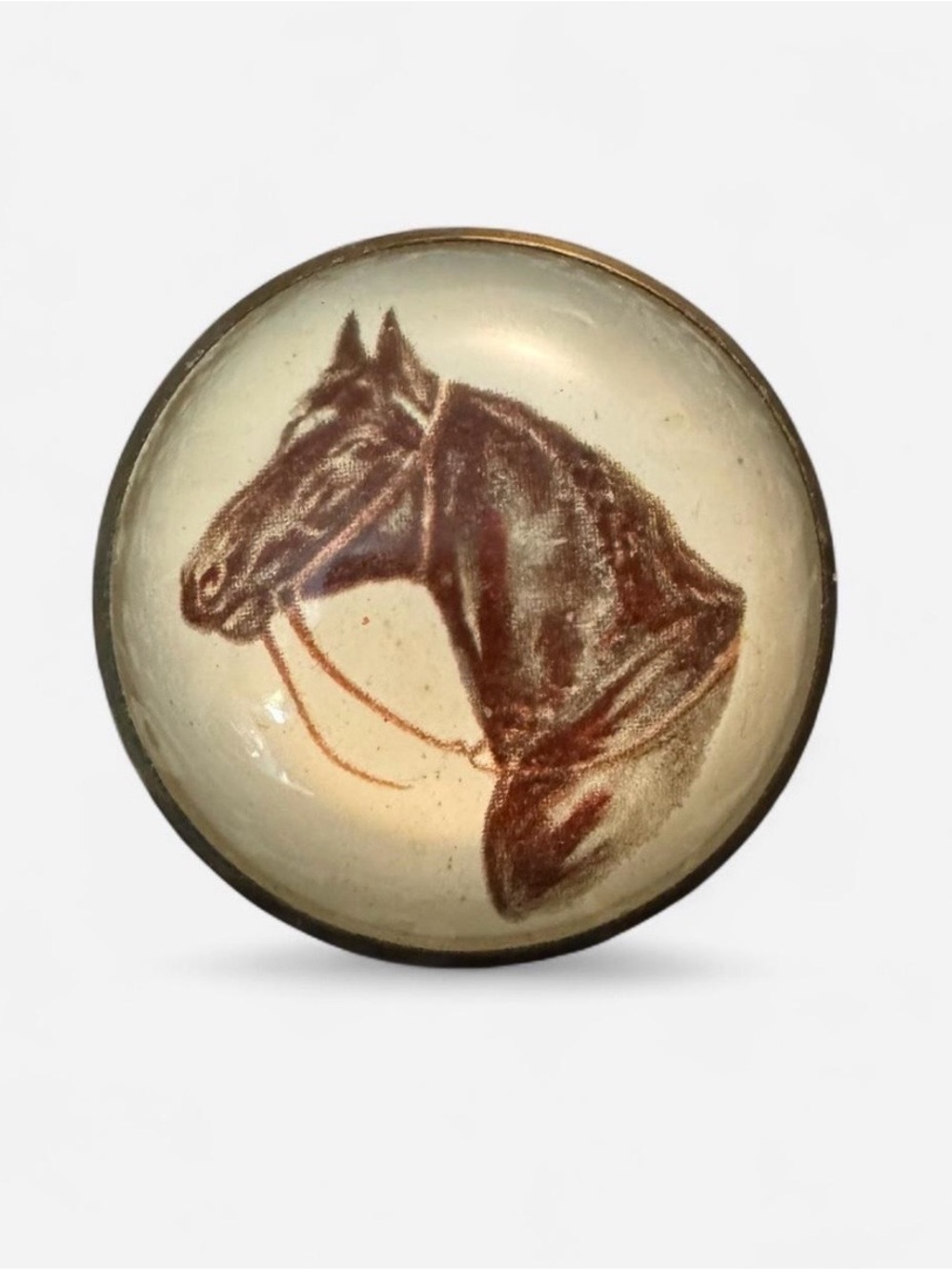 Vintage Glass Dome Horse Pin With A C-Clasp